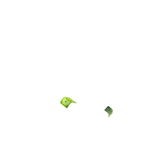 Spider Web