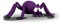 spider